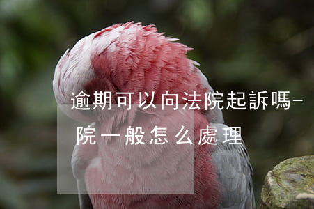 逾期可以向法院起訴嗎-如果逾期被起訴法院一般怎么處理