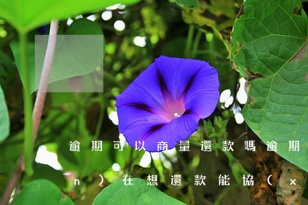 逾期可以商量還款嗎（逾期5年了現(xiàn)在想還款能協(xié)商嗎）
