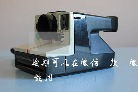 逾期可以在微信還款嗎(微信分付逾期還了還能用嗎)