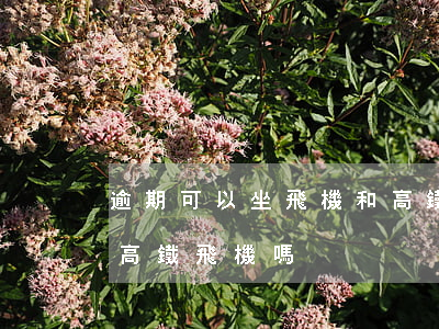 逾期可以坐飛機和高鐵嗎（信用卡逾期影響坐高鐵飛機嗎）