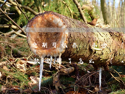 逾期可以存夠本金協(xié)商還款嗎(欠款逾期了怎么協(xié)商還本金)