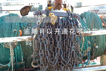 逾期可以开通花呗吗(花呗逾期可以开淘宝店吗)