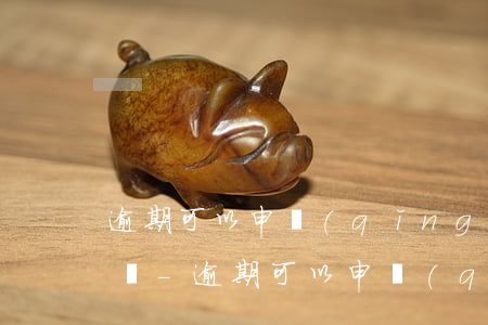 逾期可以申請(qǐng)減免一次性繳清嗎-逾期可以申請(qǐng)減免一次性繳清嗎