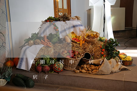 逾期可以申請房子貸款嗎(逾期能不能貸款買房子)