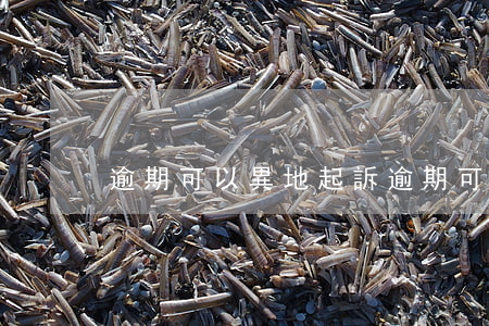 逾期可以異地起訴(逾期可以異地起訴)