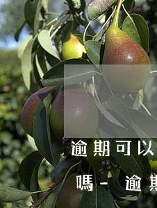 逾期可以直接列入失信被執(zhí)行人嗎-逾期可以直接列入失信被執(zhí)行人嗎知乎