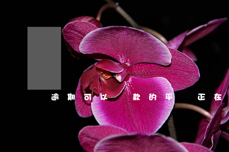 逾期可以貸款的平臺(正在逾期哪里可以借錢)