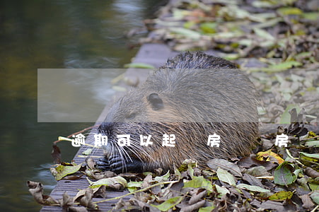 逾期可以起訴房貸嗎(房貸逾期法院起訴怎么辦)