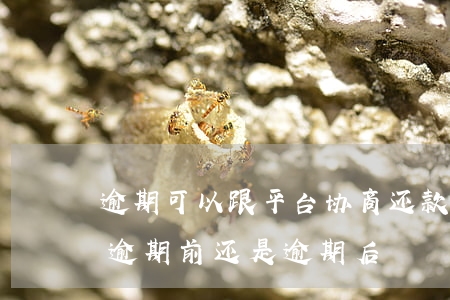 逾期可以跟平台协商还款吗-协商还款是在逾期前还是逾期后