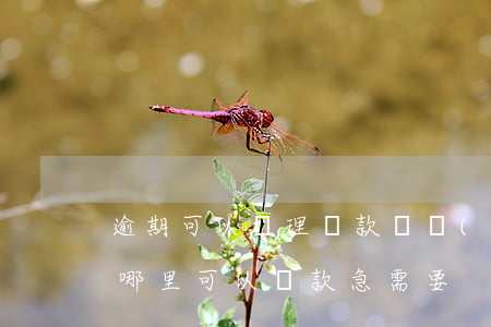 逾期可以辦理貸款嗎(當(dāng)前逾期哪里可以貸款急需要)