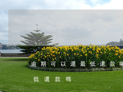 逾期可以還最低還款嘛（信用卡逾期能只還最低還款嗎）