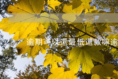 逾期可以還最低還款嘛(逾期可以最低還款嗎)