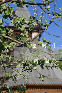 逾期可借款的-逾期可借款的罰息記入那個科目
