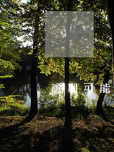 逾期可能提前還款嗎(提前還款失敗算逾期嗎)