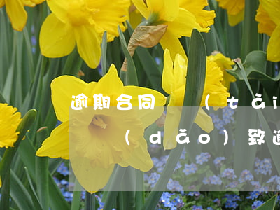 逾期合同狀態(tài)是正常還款(還款失敗導(dǎo)致逾期)