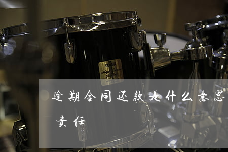 逾期合同还款是什么意思(承担逾期还款违约责任)