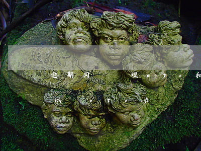 逾期同時辦理etc和信用卡(征信有逾期可以辦etc卡嗎)
