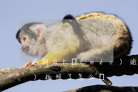 逾期后上門(mén)(逾期后上門(mén)拍照了怎么辦)