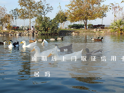 逾期后上门取证（信用卡逾期上门取证询问邻居吗）