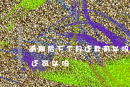 逾期后下个月还款可以吗(信用卡逾期下个月还可以吗)