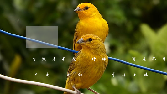 逾期后不是銀行的電話可以不接嗎-逾期后不是銀行的電話可以不接嗎怎么辦