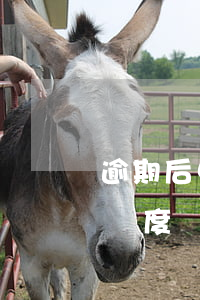 逾期后中信信用卡專屬額度(中信信用卡 最高額度)