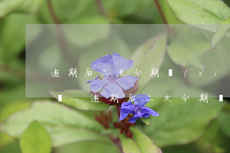 逾期后二次分期協(xié)商成功如何確認-逾期后二次分期協(xié)商成功如何確認還款