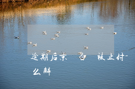 逾期后京東白條被止付-京東白條被止付怎么解