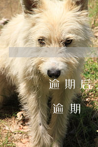 逾期后人民銀行會(huì)加我的微信嗎 逾期記錄已經(jīng)上傳到人民銀行,還能更改嗎?