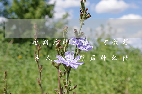 逾期后什么情況才能打緊急聯(lián)系人-逾期后什么情況才能打緊急聯(lián)系人電話