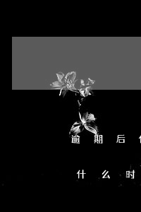 逾期后什么时候公司可以退出钉钉-逾期后什么时候公司可以退出钉钉群