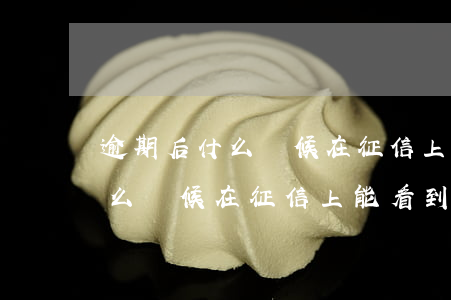 逾期后什么時候在征信上能看到-逾期后什么時候在征信上能看到記錄