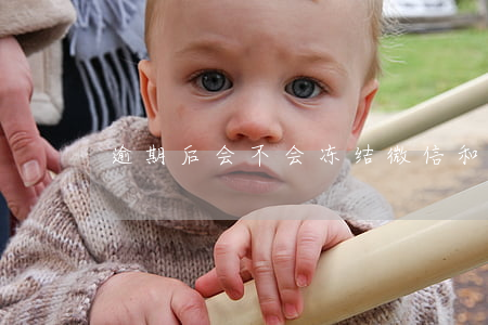 逾期后会不会冻结微信和支付宝-
