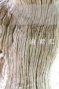 逾期后你最怕的是什么(逾期以后怎么補救)