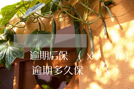 逾期后保險(xiǎn)公司代償怎么處理(逾期多久保險(xiǎn)公司會(huì)代償)