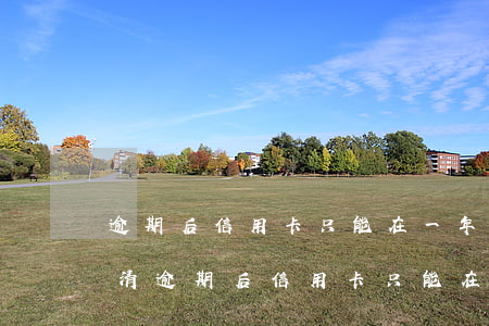 逾期后信用卡只能在一年之內(nèi)還清(逾期后信用卡只能在一年之內(nèi)還清嗎)