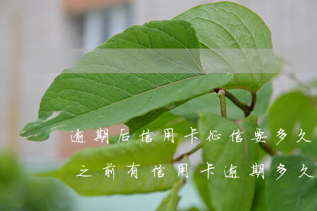 逾期后信用卡征信要多久才能恢復(fù)(之前有信用卡逾期多久可以恢復(fù)征信)