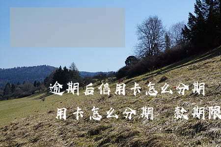 逾期后信用卡怎么分期還款期限-逾期后信用卡怎么分期還款期限最長
