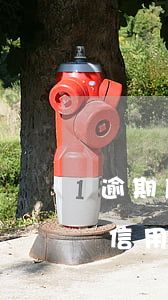 逾期后信用卡本金如何計(jì)算 逾期后信用卡本金如何計(jì)算的
