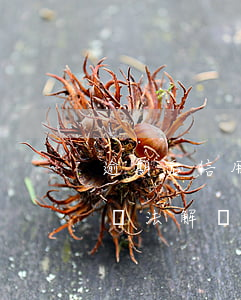 逾期后信用卡異常多久解除（信用卡逾期多久無法解凍）