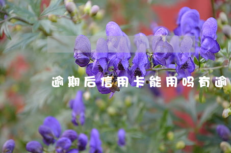 逾期后信用卡能用吗 有逾期能下信用卡吗