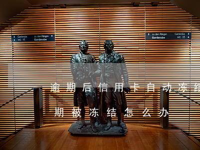 逾期后信用卡自动冻结(银行卡因为信用卡逾期被冻结怎么办)