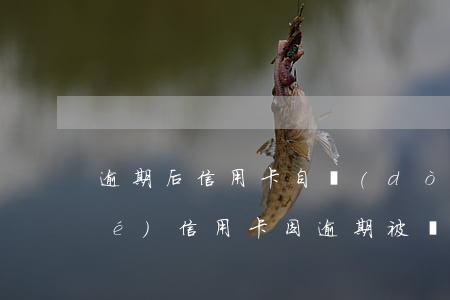 逾期后信用卡自動(dòng)凍結(jié)(信用卡因逾期被凍結(jié)可以解凍嗎)