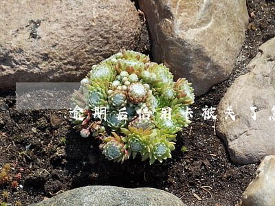 逾期后信用卡被关了怎么办(处理逾期信用卡)