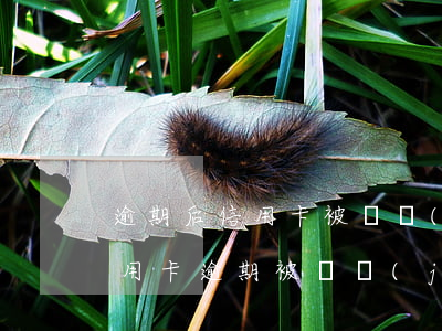 逾期后信用卡被凍結(jié)如何解開?（信用卡逾期被凍結(jié)去銀行能解封嗎）
