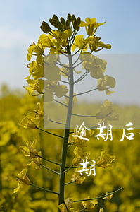 逾期后信用卡被凍結(jié)如何解開?（逾期凍結(jié)的信用卡解封）