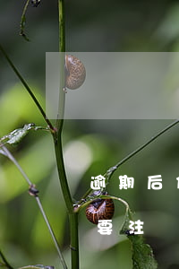 逾期后信用卡要不要注銷(逾期后信用卡要不要注銷)
