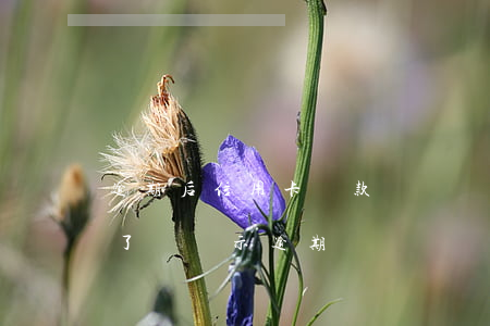 逾期后信用卡還款還沒還清(為什么信用卡還了還顯示逾期)