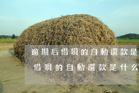 逾期后借唄的自動還款是什么時間-逾期后借唄的自動還款是什么時間扣款