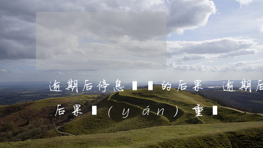 逾期后停息掛賬的后果-逾期后停息掛賬的后果嚴(yán)重嗎